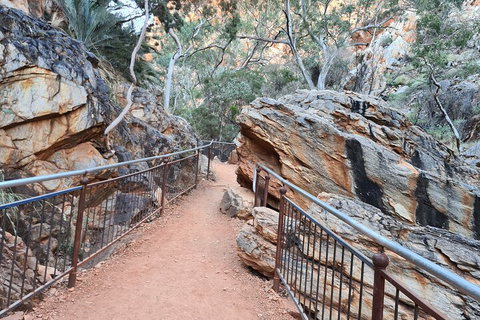 West MacDonnell Ranges Half-Day Private Charter Guided Tour - Dalby Accommodation 0