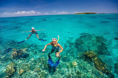 Fly To Green Island - Cruise Return - Dalby Accommodation 4