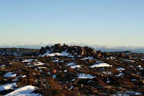 Mt. Wellington, Bonorong And Richmond Day Tour From Hobart - Dalby Accommodation 5