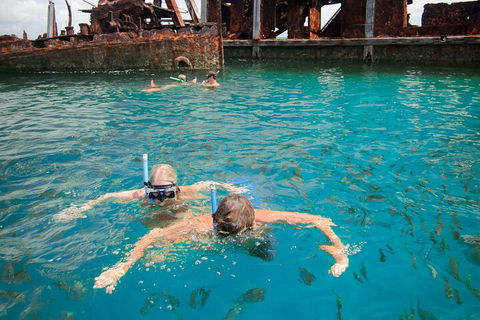 Moreton Island Snorkel And Sandboarding 4WD Day Trip From Brisbane - Dalby Accommodation 0