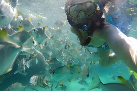 Moreton Island Snorkel And Sandboarding 4WD Day Trip From Brisbane - Dalby Accommodation 3