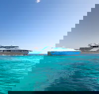 Rottnest Island All-Inclusive Grand Island Tour from Fremantle - Dalby Accommodation