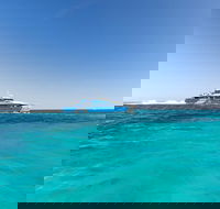 Rottnest Island Fortress Adventure Segway Package from Fremantle - Dalby Accommodation
