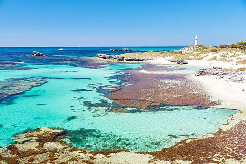 Perth To Rottnest Island Roundtrip Ferry Ticket - Dalby Accommodation 2