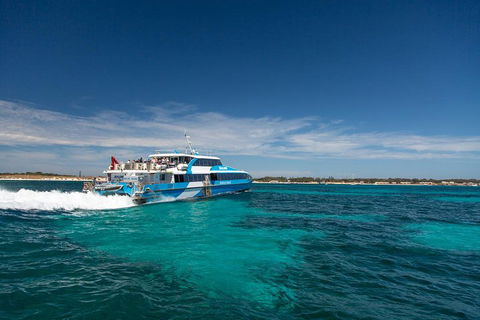 Perth To Rottnest Island Roundtrip Ferry Ticket - Dalby Accommodation 4