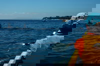 Book Viator Accommodation Vacations Dalby Accommodation Dalby Accommodation