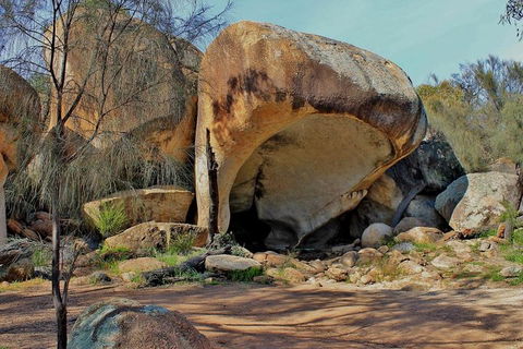 Wave Rock & Rottnest Island - Air & Ground Tour - Dalby Accommodation 4