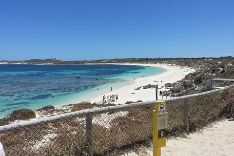 Wave Rock, Pinnacles And Rottnest One Day Aeroplane Tour - Dalby Accommodation 2