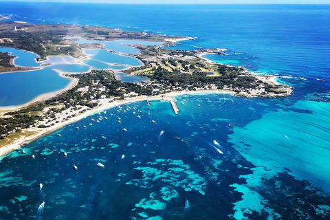 Wave Rock, Pinnacles And Rottnest One Day Aeroplane Tour - Dalby Accommodation 3