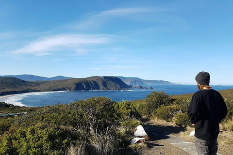 Small-Group Day Trip From Hobart To Bruny Island - Dalby Accommodation 0