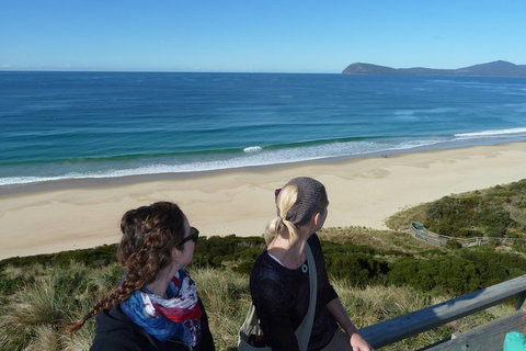 Small-Group Day Trip From Hobart To Bruny Island - Dalby Accommodation 3