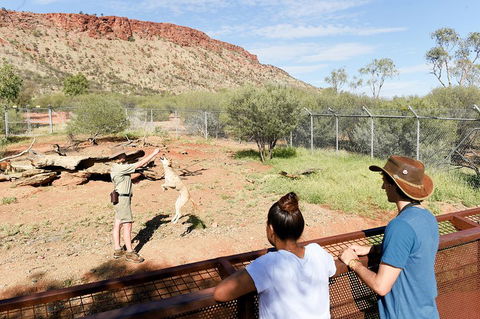 Alice Springs Desert Park General Entry Ticket - Dalby Accommodation 4