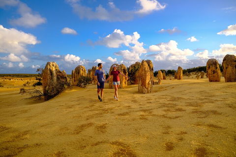 Half Day Pinnacles Sunset Tour - Dalby Accommodation 1