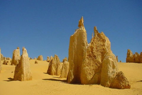 Half Day Pinnacles Sunset Tour - Dalby Accommodation 2