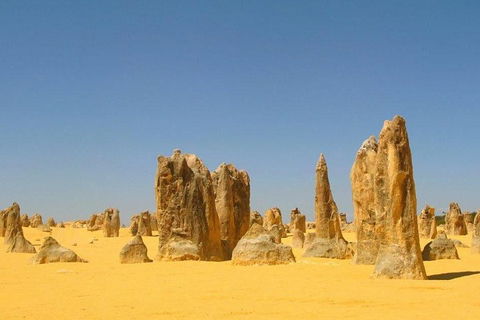 Half Day Pinnacles Sunset Tour - Dalby Accommodation 5