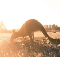 Small Group Mornington Peninsula Hike and Hot Springs Day Tour from Melbourne - Dalby Accommodation