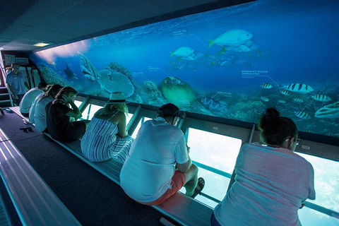 Great Barrier Reef Day Cruise To Reefworld - Dalby Accommodation 0