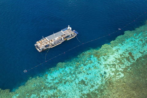 Great Barrier Reef Day Cruise To Reefworld - Dalby Accommodation 2