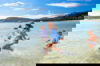 Book Viator Accommodation Vacations Dalby Accommodation Dalby Accommodation