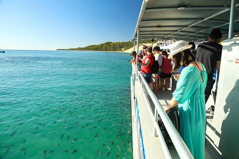 Adventure Moreton Island Wrecks Adventure Package - Dalby Accommodation 1