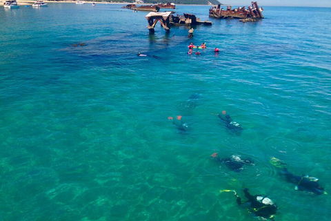 Adventure Moreton Island Scuba Dive Tour - Dalby Accommodation 0