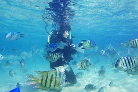 Adventure Moreton Island Scuba Dive Tour - Dalby Accommodation 1