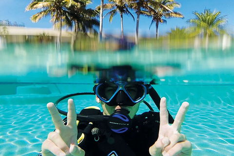 Adventure Moreton Island Scuba Dive Tour - Dalby Accommodation 2