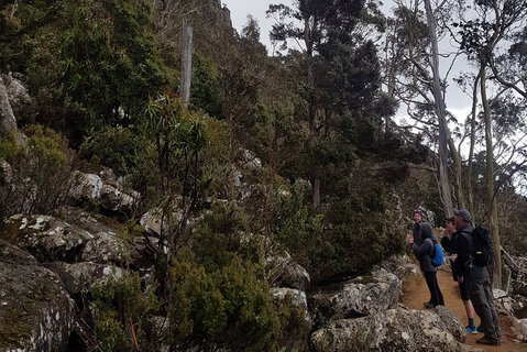 Kunanyi / Mt. Wellington Guided Hiking Tour - Dalby Accommodation 0