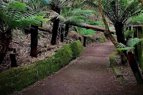 Kunanyi / Mt. Wellington Guided Hiking Tour - Dalby Accommodation 1