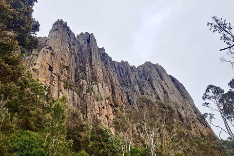 Kunanyi / Mt. Wellington Guided Hiking Tour - Dalby Accommodation 4