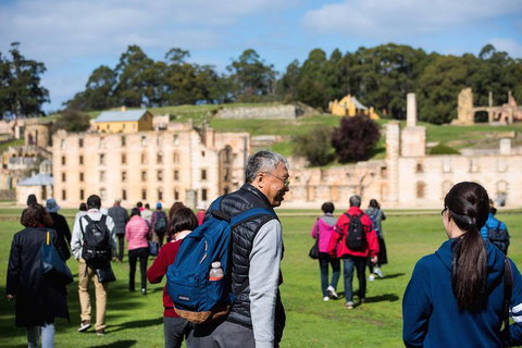 Port Arthur Express Shuttle - Dalby Accommodation 4
