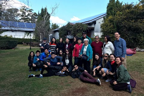 Full Day Mount Tamborine Winery Tour From Brisbane - Dalby Accommodation 2