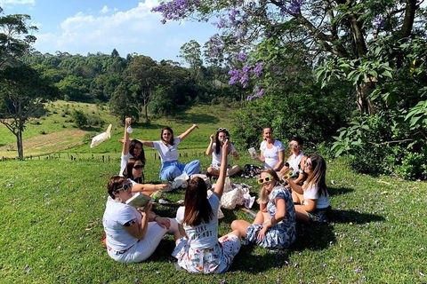 Full Day Mount Tamborine Winery Tour From Brisbane - Dalby Accommodation 4