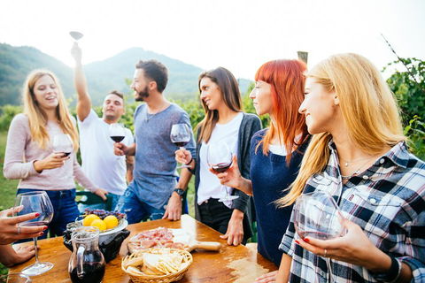 Full Day Mount Tamborine Winery Tour From Brisbane - Dalby Accommodation 5