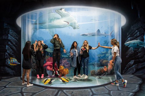 ArtVo Immersive Gallery Experience - Dalby Accommodation 2