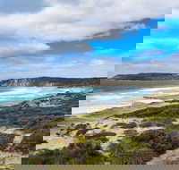 Kangaroo Island Luxury Small Group 'East End Explorer' Full Day Tour - Dalby Accommodation
