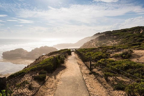 Melbourne Super Saver: Great Ocean Road + Mornington Peninsula + Attraction Pass - Dalby Accommodation 4