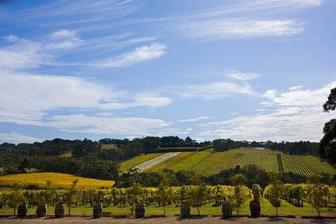 Melbourne Super Saver: Great Ocean Road + Mornington Peninsula + Attraction Pass - Dalby Accommodation 5