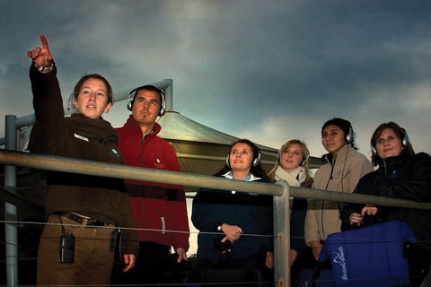 Phillip Island Penguin Parade Express Tour From Melbourne - Dalby Accommodation 1