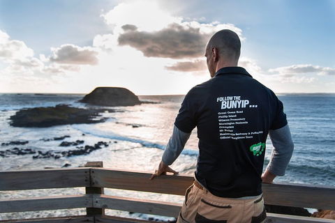 Phillip Island Penguin Parade Express Tour From Melbourne - Dalby Accommodation 2