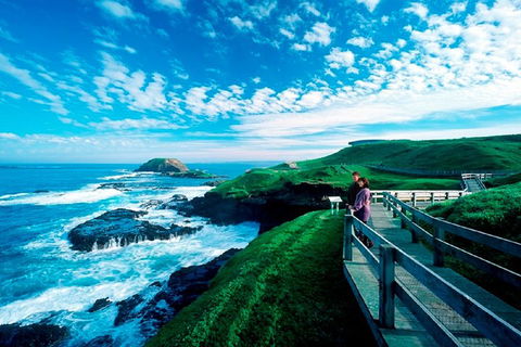 Phillip Island Penguin Parade Express Tour From Melbourne - Dalby Accommodation 4