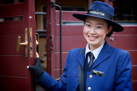 Puffing Billy, Moonlit Sanctuary & Penguins Day Tour - Dalby Accommodation 1