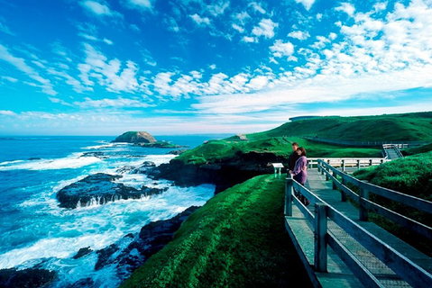 Puffing Billy, Moonlit Sanctuary & Penguins Day Tour - Dalby Accommodation 2