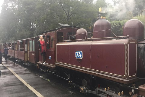 Puffing Billy, Moonlit Sanctuary & Penguins Day Tour - Dalby Accommodation 4