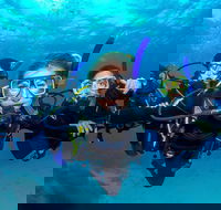 Great Barrier Reef Diving and Snorkeling Cruise from Cairns - Dalby Accommodation
