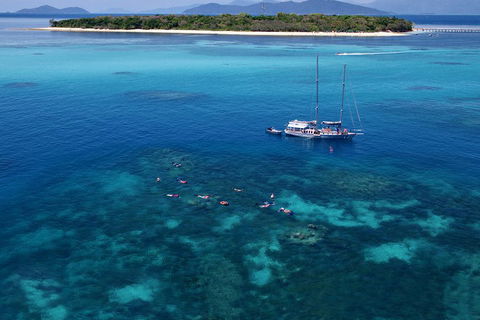 Ocean Free Green Island & Great Barrier Reef Snorkel Cruise, Cairns 25 Guests - Dalby Accommodation 2
