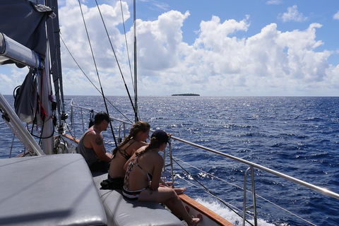 Ocean Free Green Island & Great Barrier Reef Snorkel Cruise, Cairns 25 Guests - Dalby Accommodation 4