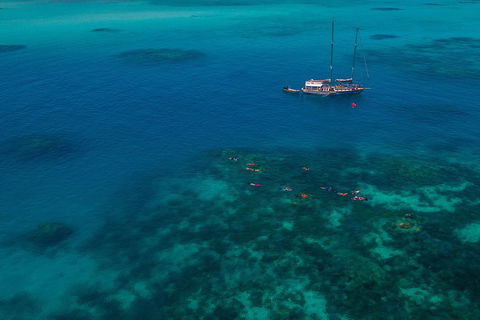 Ocean Free Green Island & Great Barrier Reef Snorkel Cruise, Cairns 25 Guests - Dalby Accommodation 5