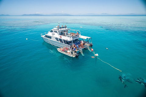 Ocean Freedom Great Barrier Reef Personal Luxury Snorkel & Dive Cruise, Cairns - Dalby Accommodation 0