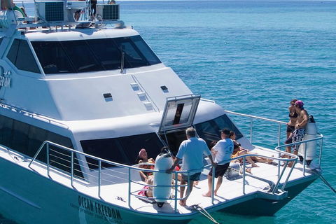 Ocean Freedom Great Barrier Reef Personal Luxury Snorkel & Dive Cruise, Cairns - Dalby Accommodation 1
